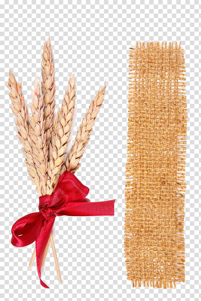 Wheat Ear, Sacks, cloth and wheat transparent background PNG clipart