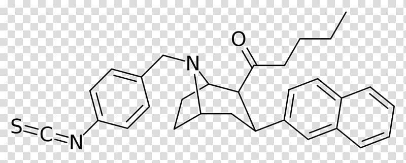 Dichloropane Serotonin–norepinephrine–dopamine reuptake inhibitor RTI-31 IC50 Phenyltropane, 205 transparent background PNG clipart