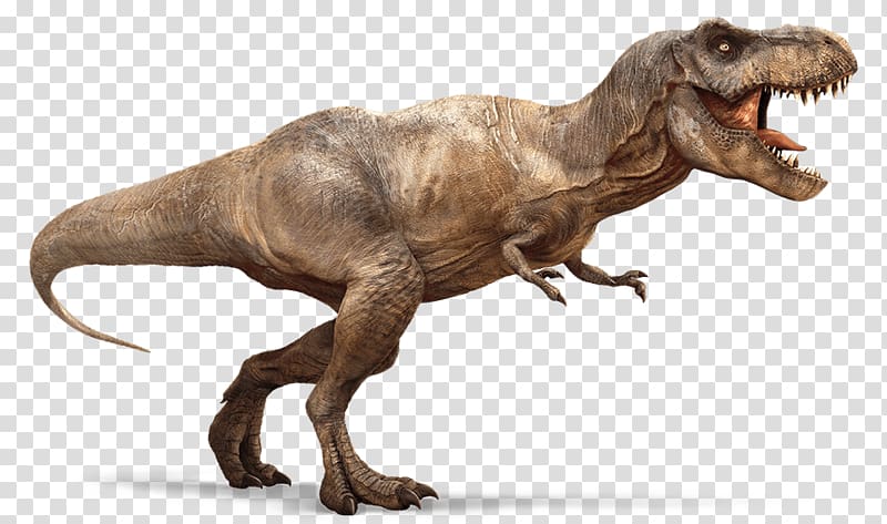 walking dinosaurs transparent background PNG clipart
