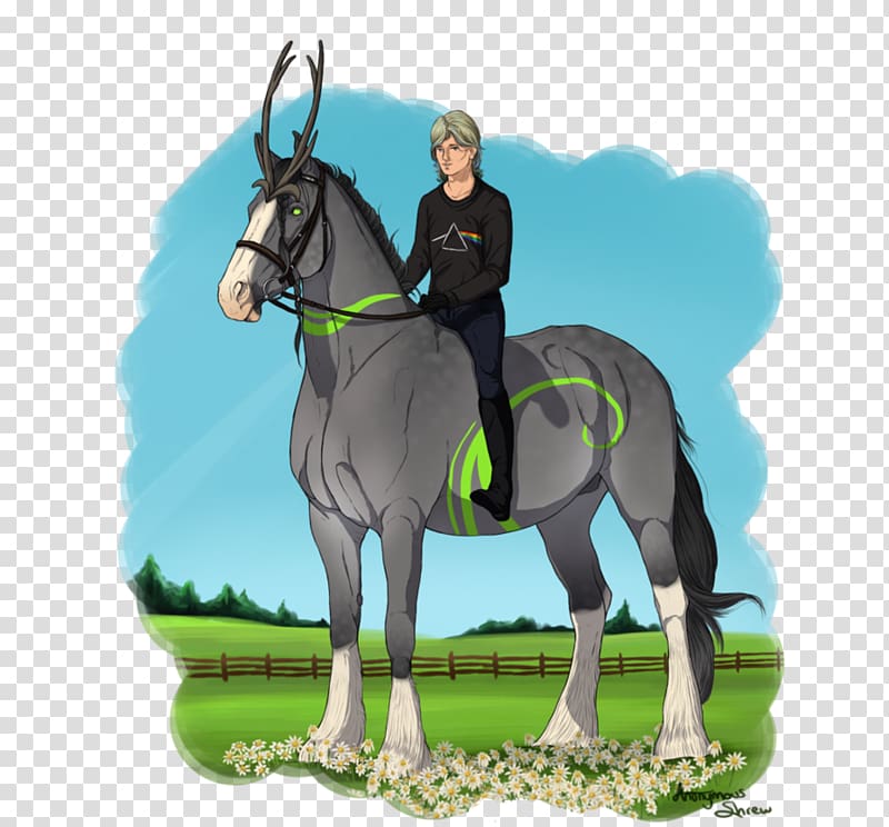 Stallion English riding Mustang Rein Mare, mustang transparent background PNG clipart