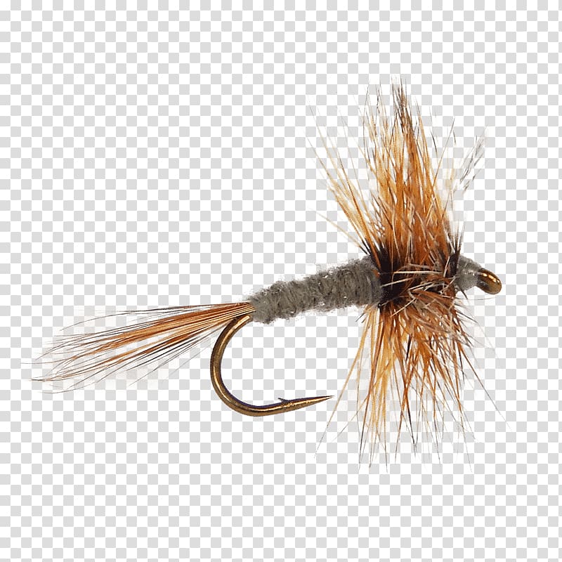 Fly fishing Mayfly Adams Fly tying Artificial fly, Fishing transparent background PNG clipart