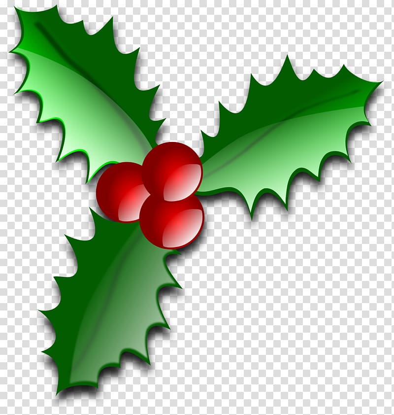 Common holly Christmas American Holly , Christmas transparent background PNG clipart