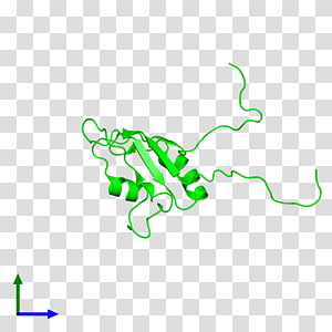 Green Leaf , Leaf transparent background PNG clipart thumbnail