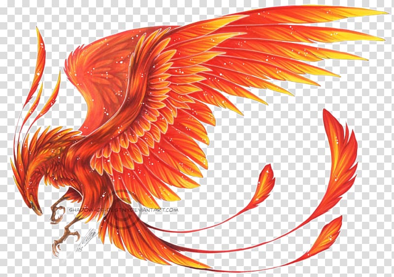 Phoenix Ibong Adarna Myth , wings transparent background PNG clipart