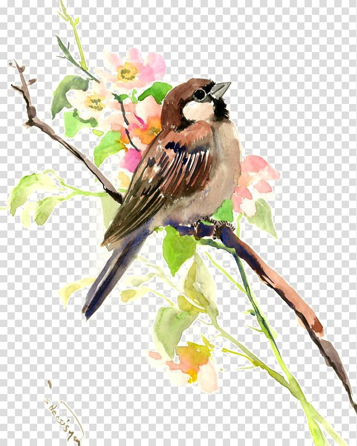 House Sparrow Watercolor painting Bird, sparrow transparent background PNG clipart