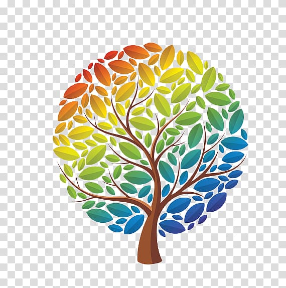 brown and multicolored tree illustration, Tree Rainbow eucalyptus Drawing, Rainbow Tree transparent background PNG clipart