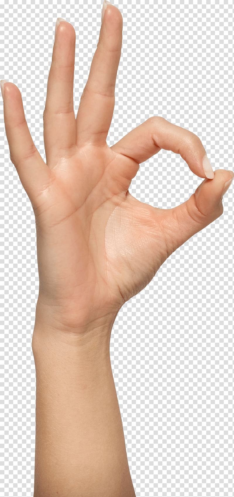 person's right hand, Hand , Hands Hand transparent background PNG clipart