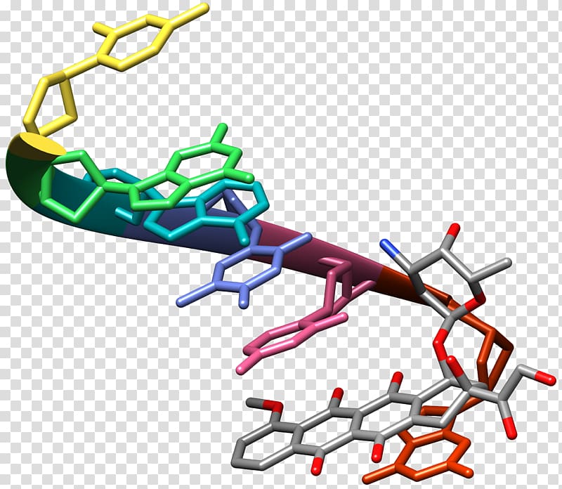 Doxorubicin DNA Anthracycline Chemistry DNK, Deoxyuridine Monophosphate transparent background PNG clipart