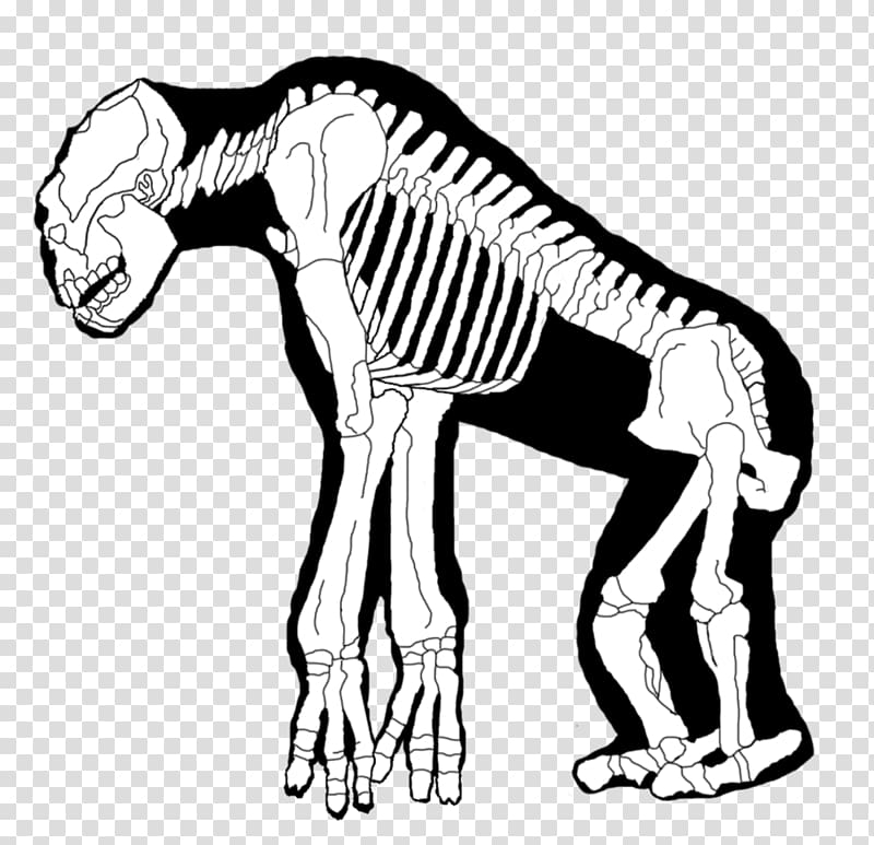 Skeleton Internet troll Trollface Homo sapiens Trolls, skeleton hand transparent background PNG clipart