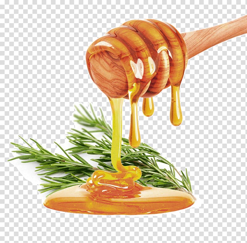 Honey Syrup, honey transparent background PNG clipart