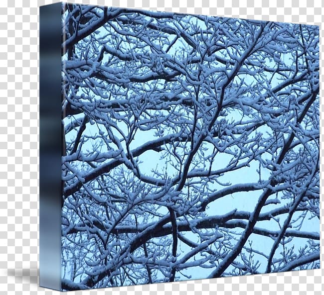 Tree Twig Violet Winter , snow landscape transparent background PNG clipart