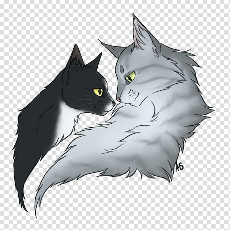 Maine Coon Kitten Warriors Whiskers Drawing, ripples transparent background PNG clipart