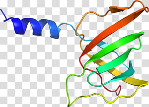 Line Point , line transparent background PNG clipart thumbnail