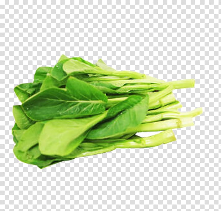 Romaine lettuce Choy sum Spring greens, Green cabbage transparent background PNG clipart