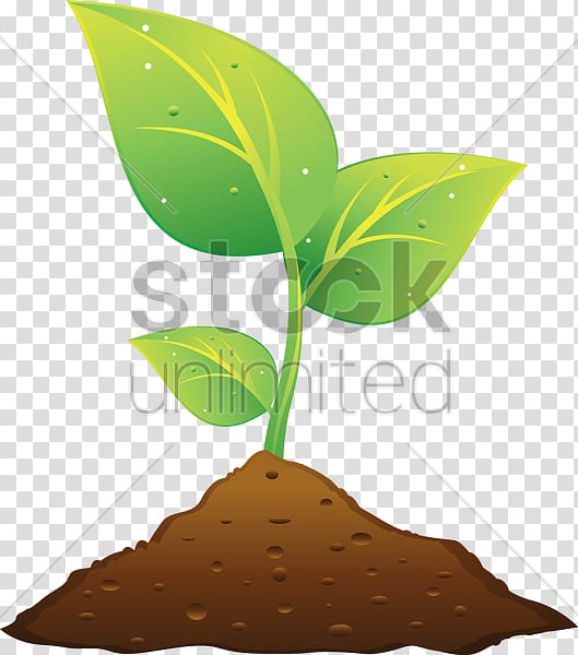 Plant and Soil Plant and Soil , plant transparent background PNG clipart