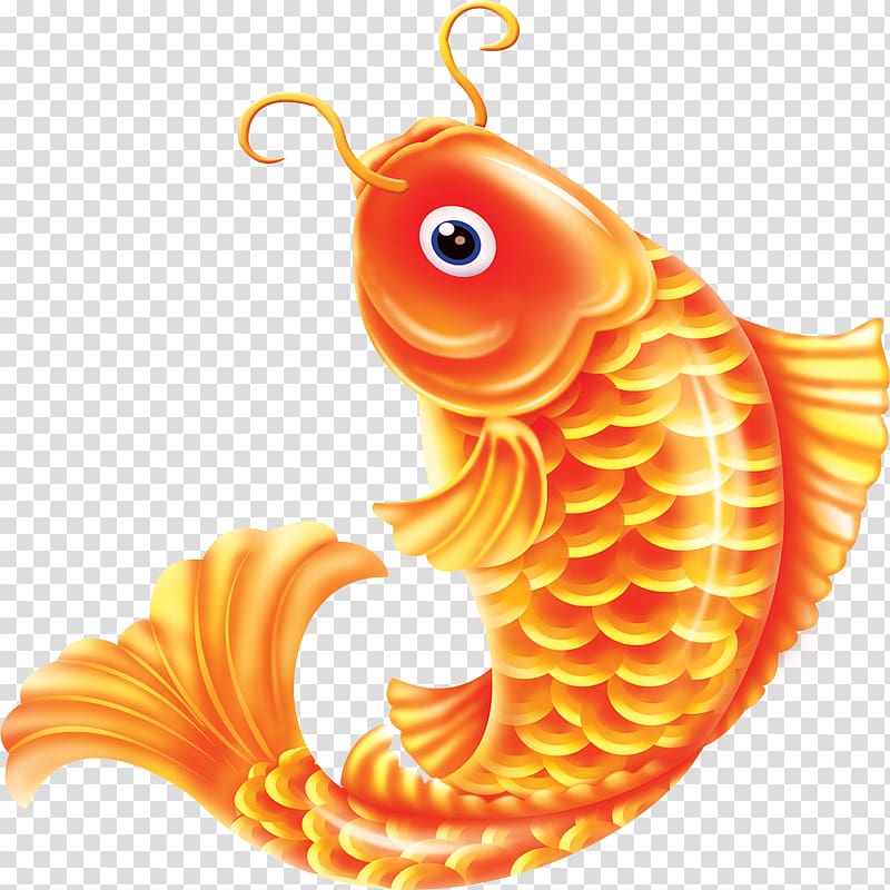 Common carp Goldfish, Fish transparent background PNG clipart