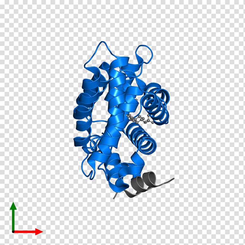 Protein Data Bank Maltose-binding protein FASTA, others transparent background PNG clipart