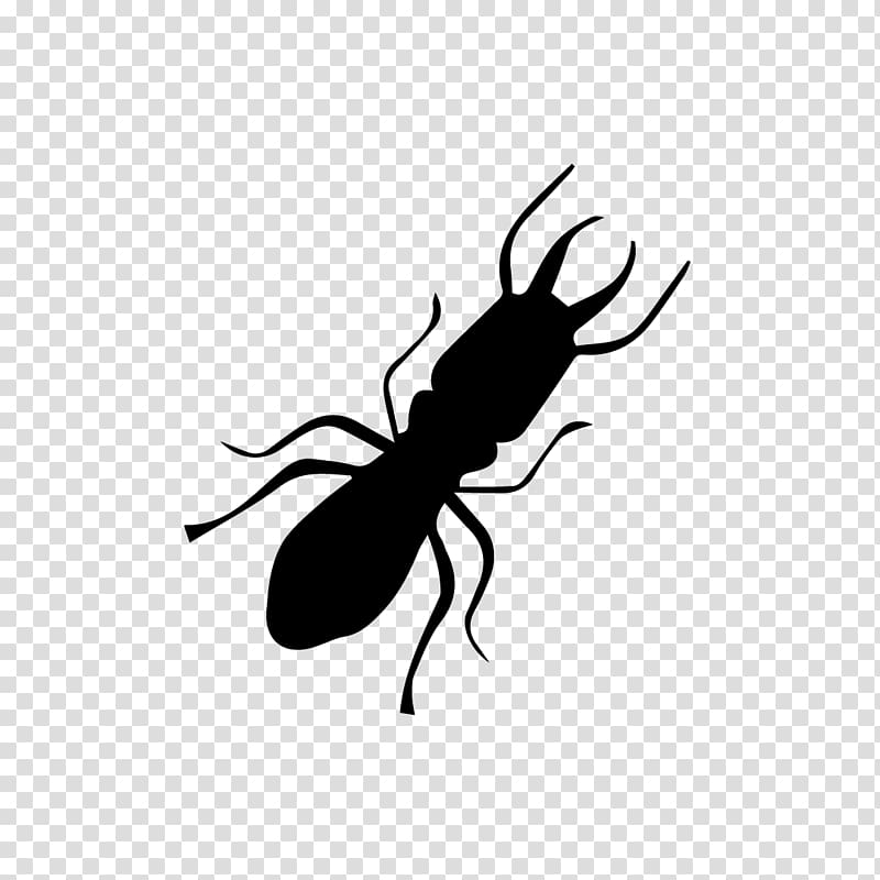 Insect Sentricon Termite Pest Ant, trim transparent background PNG clipart