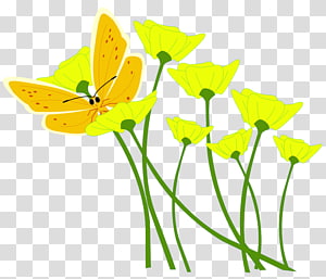 Flower Yellow , yellow flower transparent background PNG clipart thumbnail