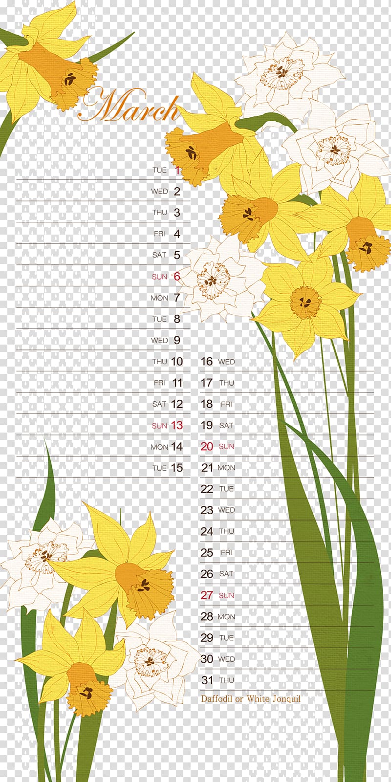Calendar Flower Illustration, March calendar background pattern template transparent background PNG clipart