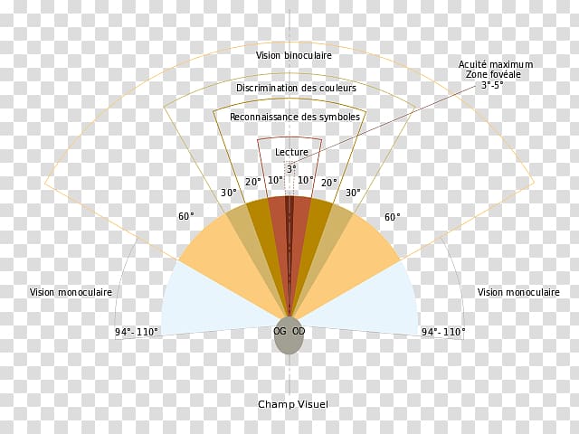 Field of view Visual field Peripheral vision Visual perception Binocular vision, creative human eye transparent background PNG clipart