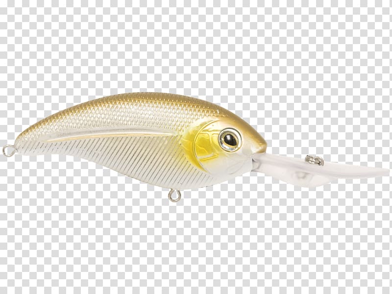 Fishing Baits & Lures, Fishing transparent background PNG clipart