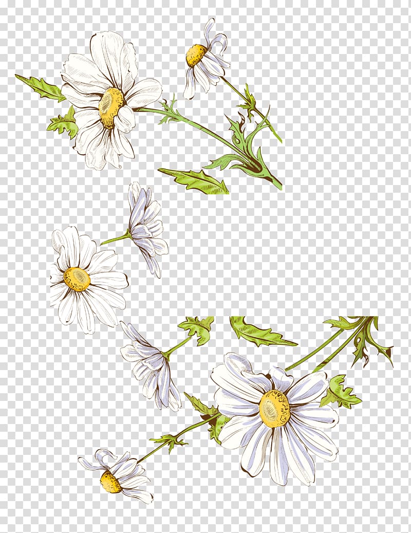 white flowers illustration, Drawing Illustration, Fresh watercolor painted floral decoration transparent background PNG clipart