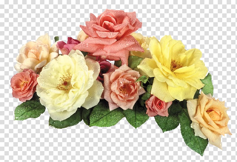 pink and yellow flowers, file formats Lossless compression, Roses transparent background PNG clipart