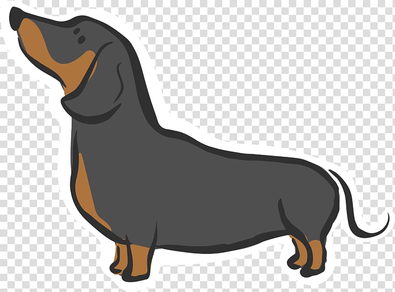 Dachshund Siberian Husky Puppy Dog breed Hound, Looking up at the sky dog transparent background PNG clipart