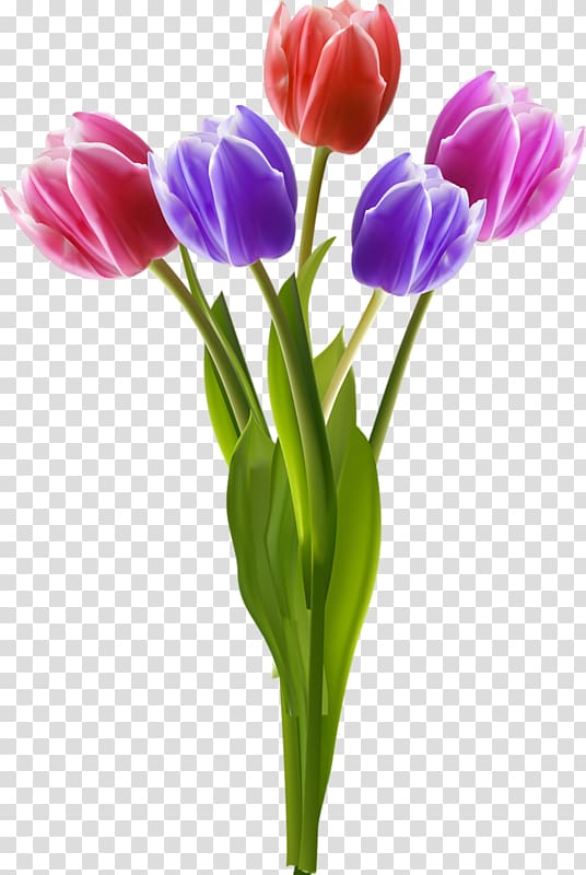 Vase Flower Tulip , vase transparent background PNG clipart