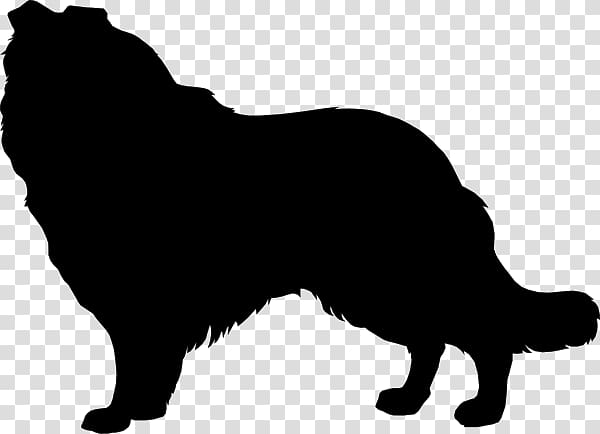 Whiskers Rough Collie Border Collie Dog breed , Dog Silhoutte transparent background PNG clipart