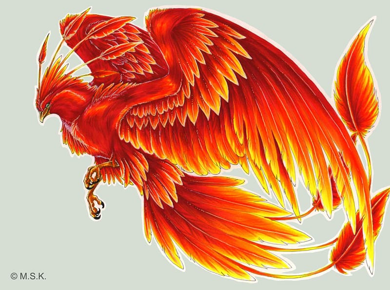 Harry Potter Phoenix Fawkes Bird Tattoo, Phoenix transparent background PNG clipart