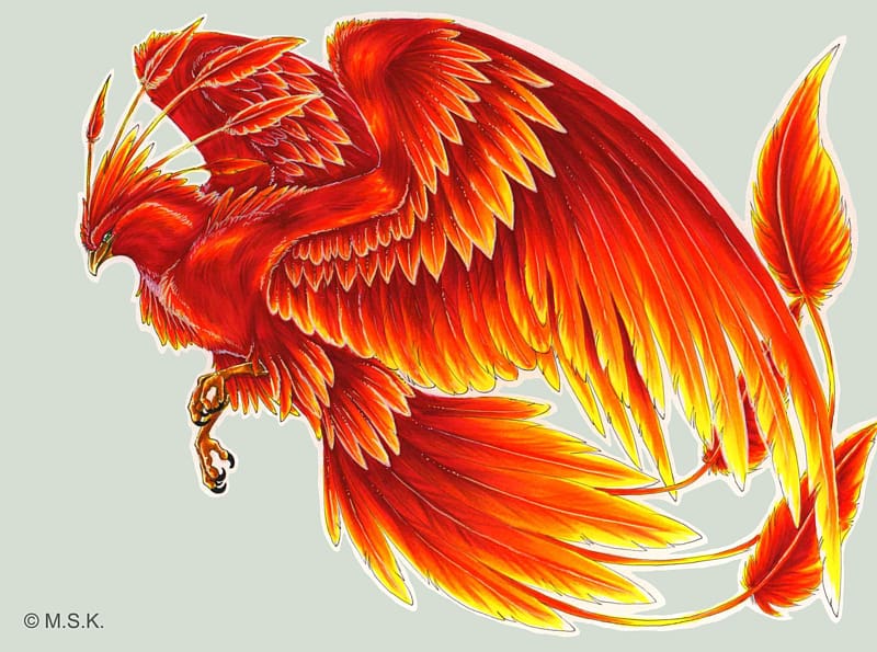 Harry Potter Phoenix Fawkes Bird Tattoo, Phoenix ...