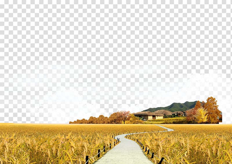 Landscape Icon, Autumn landscape material transparent background PNG clipart