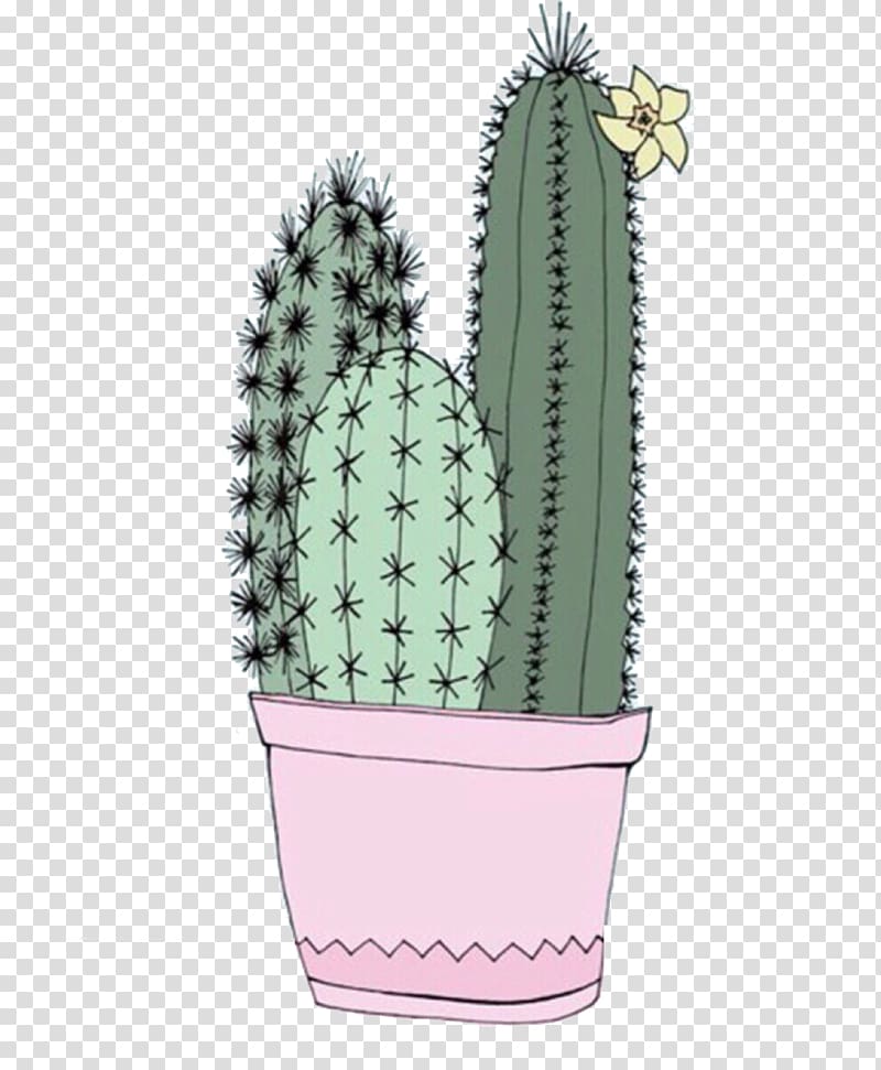 Cactaceae Lock screen , Hand-painted cactus transparent background PNG clipart
