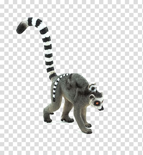 Lemur transparent background PNG clipart