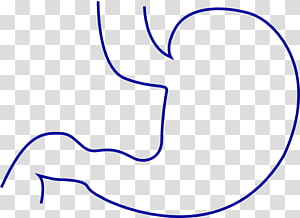 Gastrointestinal tract Small intestine , Anathema s transparent background PNG clipart thumbnail