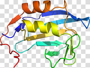 Line Point , line transparent background PNG clipart thumbnail