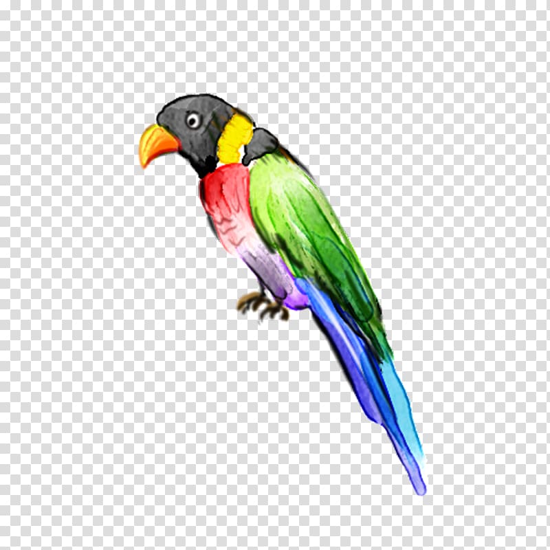 Lovebird Parrot Macaw, parrot transparent background PNG clipart