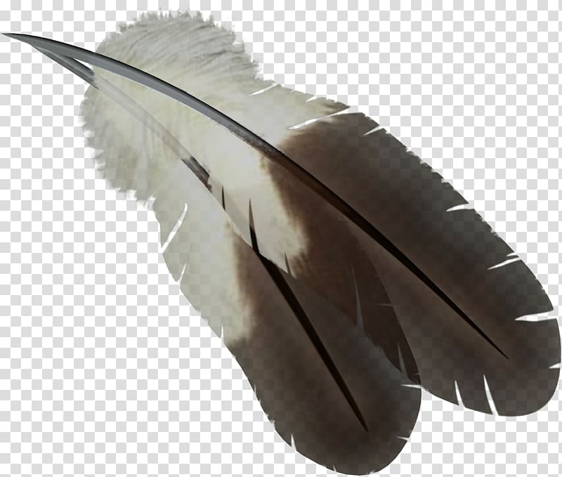 Feather Computer file, Feather transparent background PNG clipart