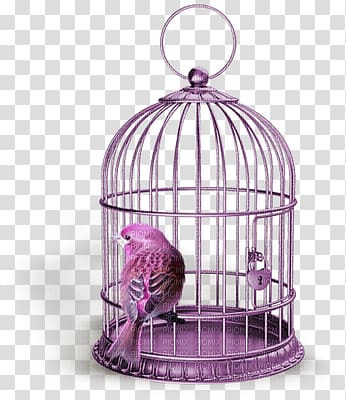 Birdcage , Bird transparent background PNG clipart