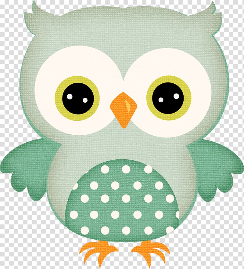 Barn owl , owl transparent background PNG clipart