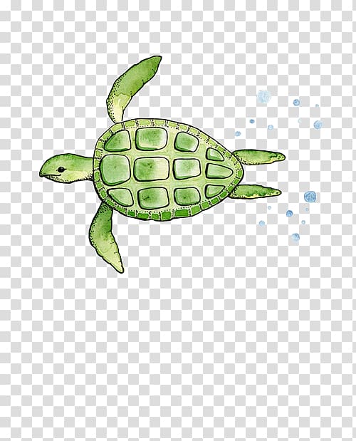 Sticker Paper Drawing Turtle Adhesive, turtle transparent background PNG clipart