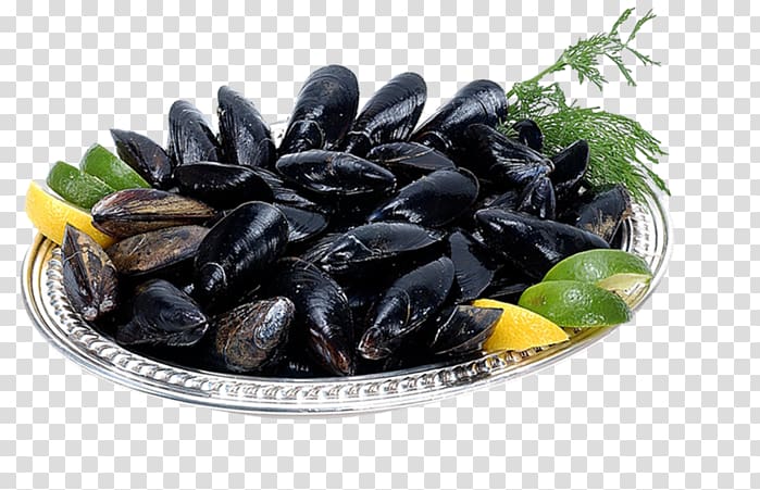 Mussel Oyster Crayfish as food Clam, sugar transparent background PNG clipart