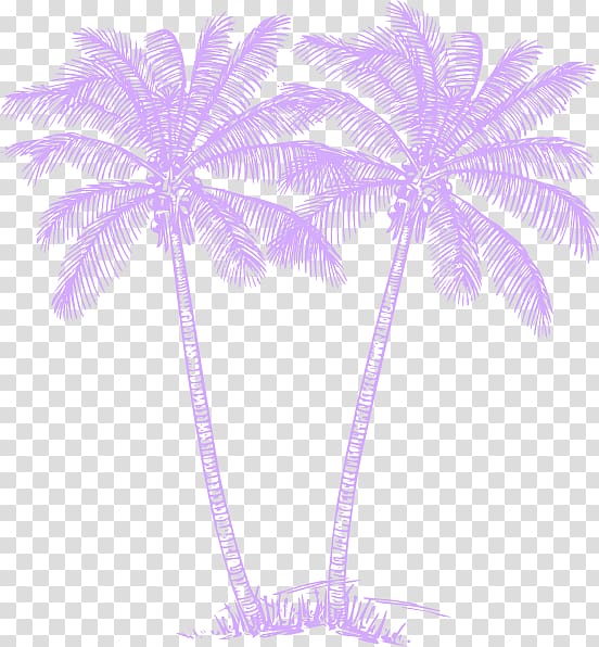 Arecaceae Sabal Palm Art , tree timeline transparent background PNG clipart