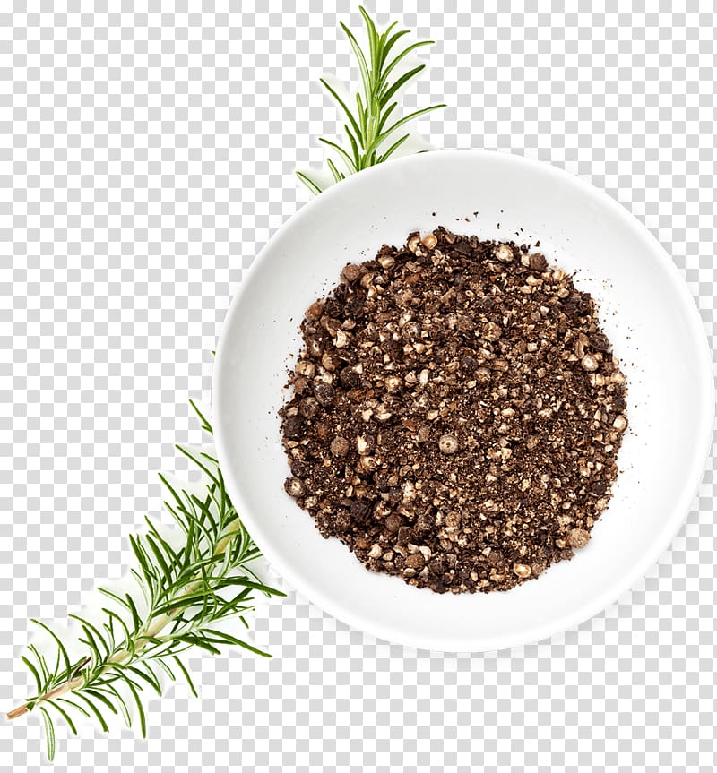 Black pepper extract Seasoning Cup noodle, black pepper transparent background PNG clipart