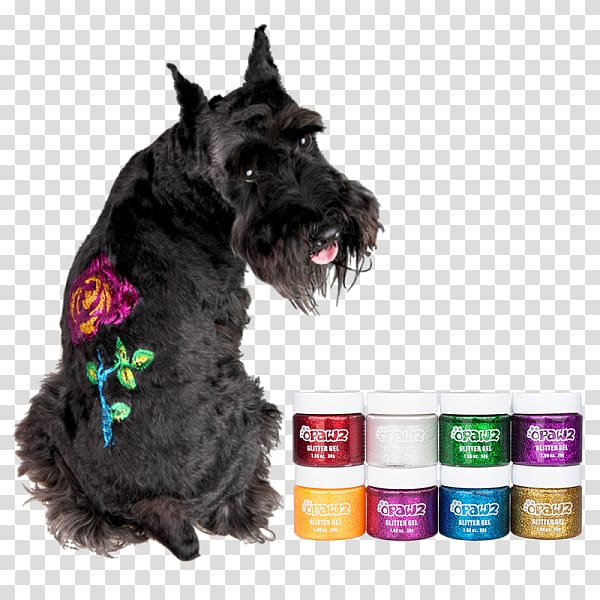 Miniature Schnauzer Scottish Terrier Cairn Terrier Dog grooming Glitter, scottish terrier transparent background PNG clipart