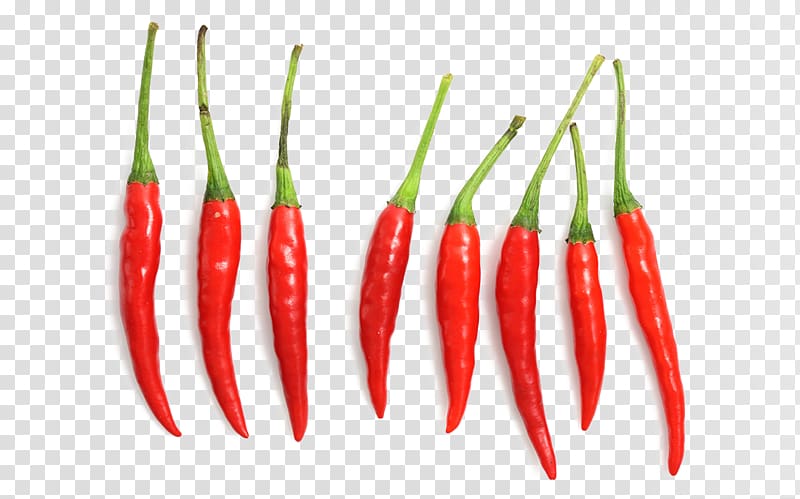 Birds eye chili Habanero Tabasco pepper Facing heaven pepper Cayenne pepper, Neatly arranged red small pepper HD transparent background PNG clipart