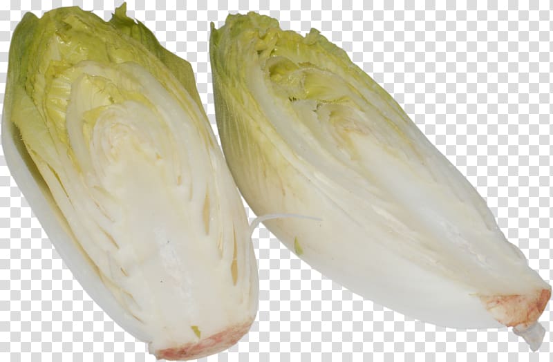 Endive Chicory Cichorium endivia Leaf vegetable, vegetable transparent background PNG clipart