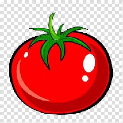 Tomato Drawing Vegetable , tomato transparent background PNG clipart
